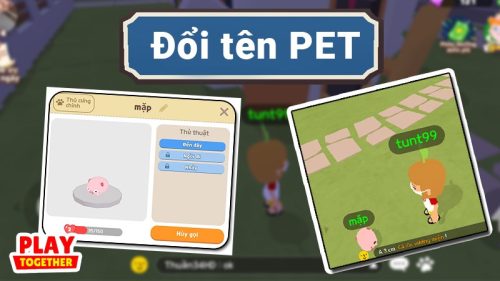 Cách đổi tên Pet trong Play Together đơn giản nhất